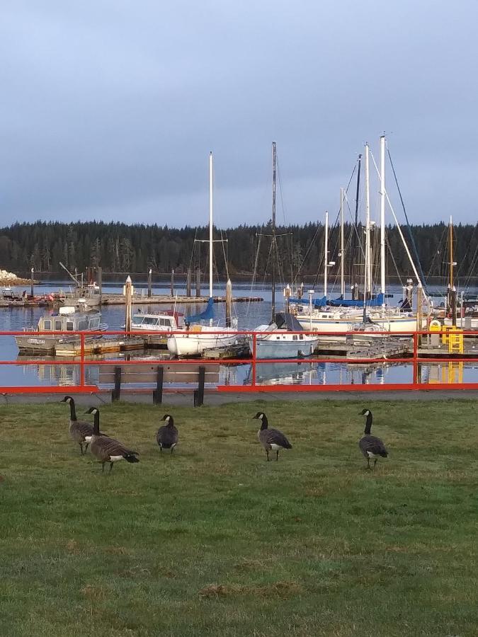 Haida Way Motor Inn Порт Макнейлл Экстерьер фото